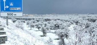 Maltempo, il gelo si è spostato al Centro-Sud: nevica dall’Abruzzo alla Puglia, dalla Basilicata alla Calabria